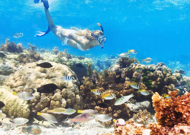 Marinarium